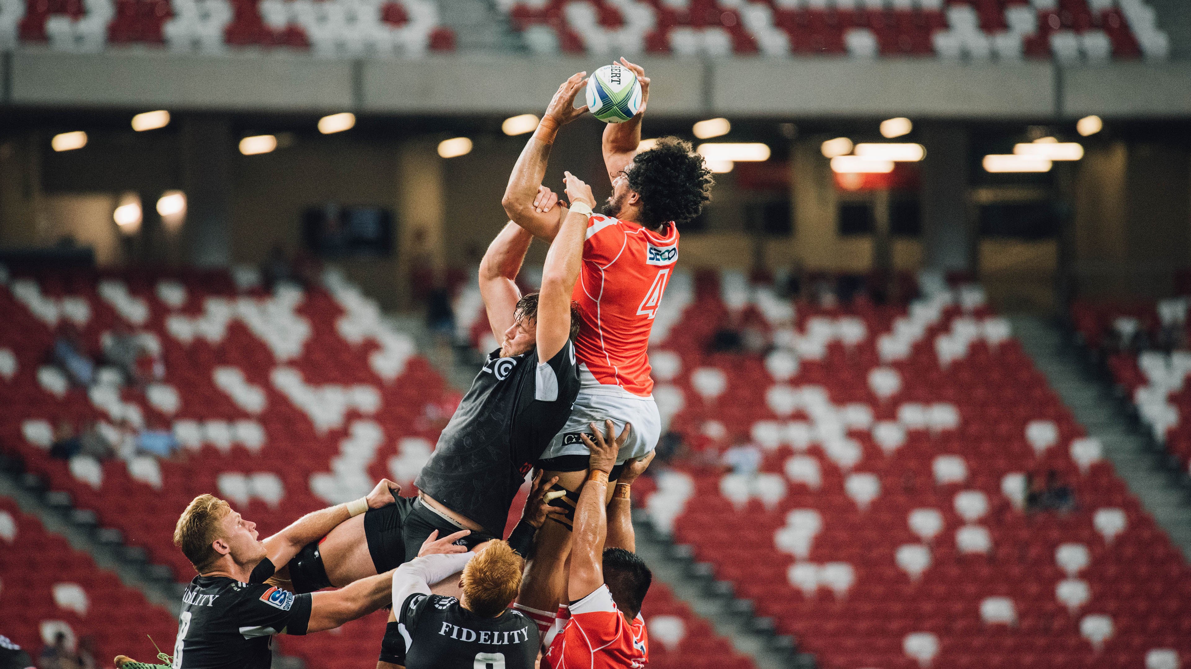 _绿野仙踪：森林中的野外网球挑战_，2021绿野仙踪棒球服